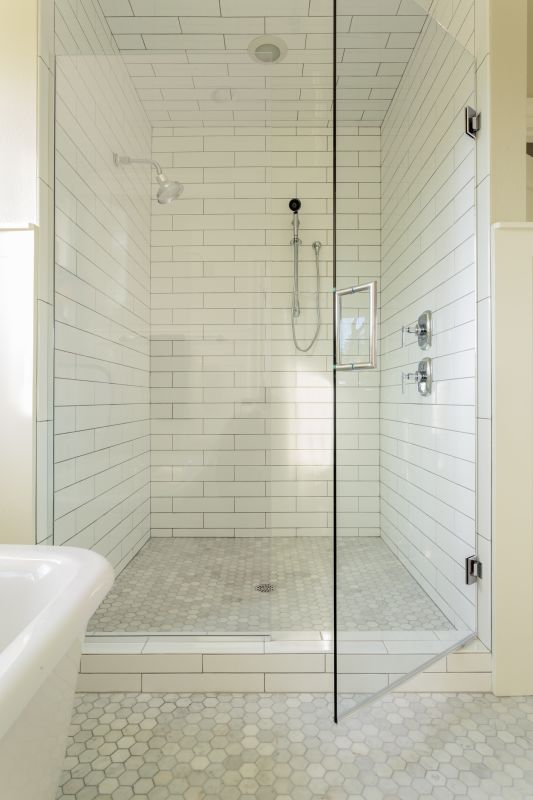 Sleek Shower Renovation